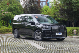 2024款极氪009 六座行政版四驱 108kWh