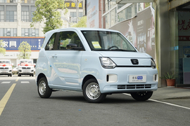 2022款东风小康风光MINIEV  实尚款 实用型