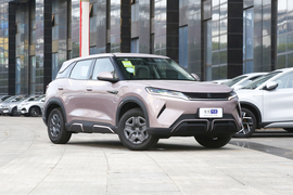 2024款比亚迪元UP 401KM 活力版