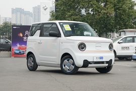 2024款吉利熊猫 mini  200KM耐力熊