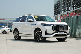 2024款奇瑞瑞虎9 2.0T 自动两驱超舒适尊享版 改款