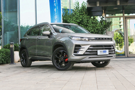 2023款星途追风 1.6T 300T DCT乘风起版