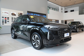 2024款奥迪Q6 40 TFSI quattro 观云型 飞骑套装 7座