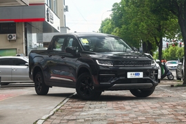 2024款雷达RD6 415km 两驱科创版