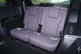 2025款奇瑞瑞虎9 2.0T 双离合两驱豪享版 7座