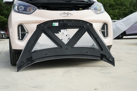 2024款奇瑞新能源-小蚂蚁 青春版 251km 真爱版 23.99kWh 改款