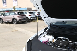 2025款比亚迪宋Pro新能源 DM-i 75KM领先型
