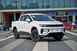 2025款雷达金刚 460km 四驱标箱 大力金刚