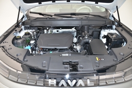 2025款哈弗枭龙MAX 1.5L Hi4 基本型