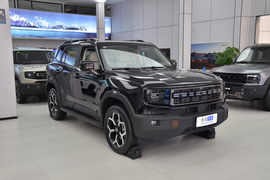2025款捷途山海T1 150km 向湖
