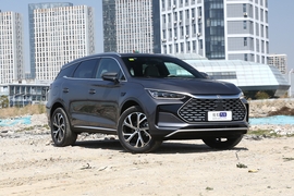 2025款比亚迪唐新能源 智驾版 DM-i 115KM 旗舰型