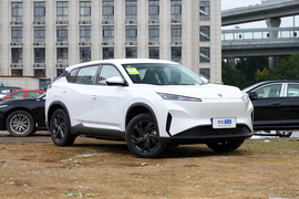 2025款东风风神SKY EV01 530km PRO精英行政版