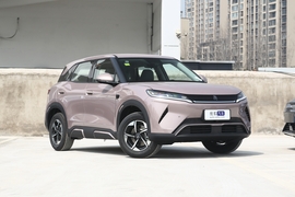 2025款比亚迪 元UP 智驾版 401KM 领先型