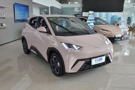 2025款比亚迪海鸥 305km 自由版