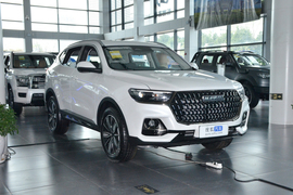2025款哈弗H6 1.5T 国潮冠军版