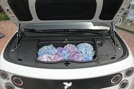 2025款firefly萤火虫 发光版