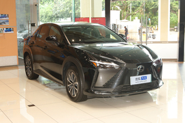 2023款雷克萨斯RZ 300e 长续航 纵行版