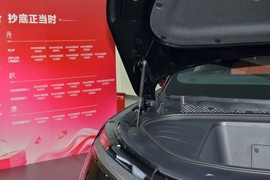 2025款比亚迪唐L  EV 670KM激光雷达旗舰型