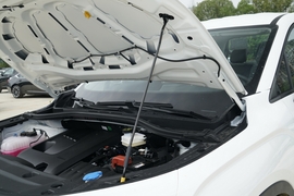 2025款吉利雷达金刚 EM-P 四驱长箱 千里金刚