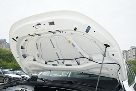 2025款吉利雷达金刚 EM-P 四驱长箱 千里金刚