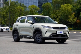 2025款比亚迪元UP 智驾版 401KM 活力版