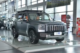 2025款哈弗猛龙 2.0T 4WD Pro