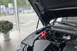 2025款奥迪Q5L 45周年典藏版 45 TFSI 豪华动感型 改款