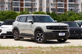 2025款捷途山海T1 226km 穿越