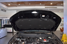 2025款本田雅阁 运动系列 260TURBO 豪华版