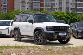 2025款捷途山海T2 206km XWD 征服加长版 7座
