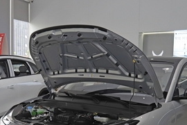 2025款极狐T1 425 PLUS