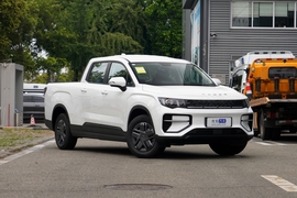 2025款吉利雷达金刚 310km 两驱长箱 招财金刚