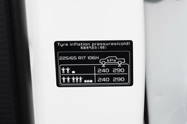 2025款吉利雷达金刚 310km 两驱长箱 招财金刚