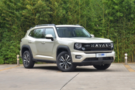 2026款哈弗大狗 PLUS 2.0T 四驱潮野版