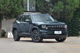 2026哈弗大狗 PLUS 新能源Hi4 150km 潮电版