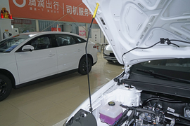 2025款比亚迪秦PLUS EV 510KM 标准版