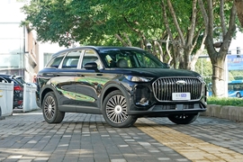 2026款奇瑞瑞虎 9X 2.0T 自动两驱尊贵型