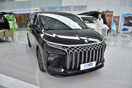 2025款东风风行星海V9 1.5TD 200km 青云梯系列 尊越版