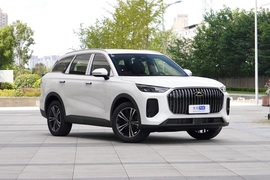 2026款奇瑞瑞虎9X 2.0T 自动两驱豪华型