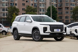 2025款捷途X90 C-DM 豪华版 5座