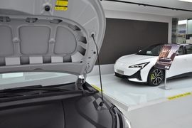 2026款极狐阿尔法T5 纯电 705 元境智行版