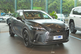 2026款雷克萨斯RX300 四驱Black Edition
