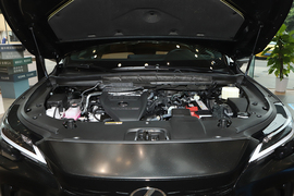 2026款雷克萨斯RX300 四驱Black Edition