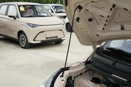 2025款奇瑞新能源多米 305km 舒享型