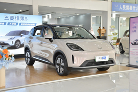 2025上汽通用五菱缤果S 325km 尊享款