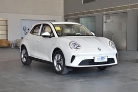 2025款欧拉好猫 430km 豪华型