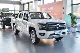 2026款长城金刚炮 2.0T自动8AT汽油两驱精英型平箱