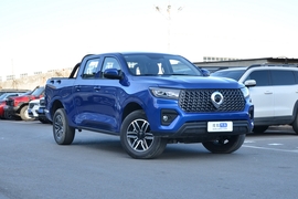 2026款长城炮 商用版 2.0T 自动四驱大双精英型 柴油