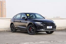 2025款奥迪Q5L Sportback quattro 45周年典藏版 45 TFSI 豪华型