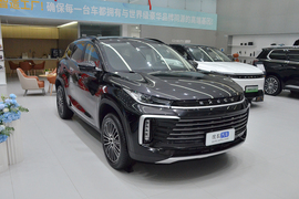 2025款星途凌云 300T 两驱曜夜版